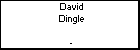 David Dingle